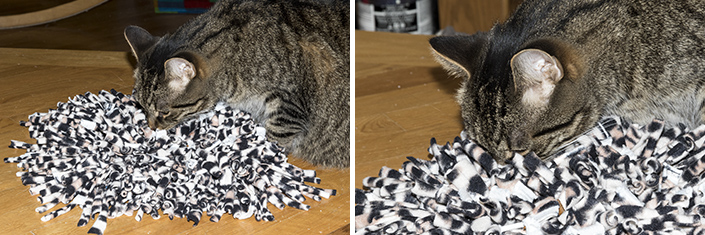 Precious Pawz Pet Products - Snuffle Mats